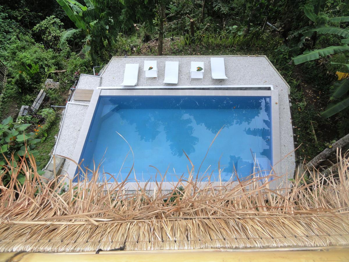 Putu Yoga Bungalow Ubud Piscina foto
